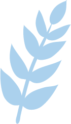 terapia w przeworsku